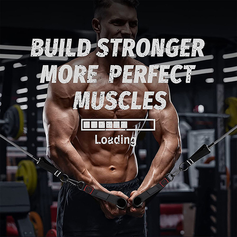 Heavy Duty D-Ring Metal Gym Ha - Yoga Fitness Power Yoga ulasan dan harga